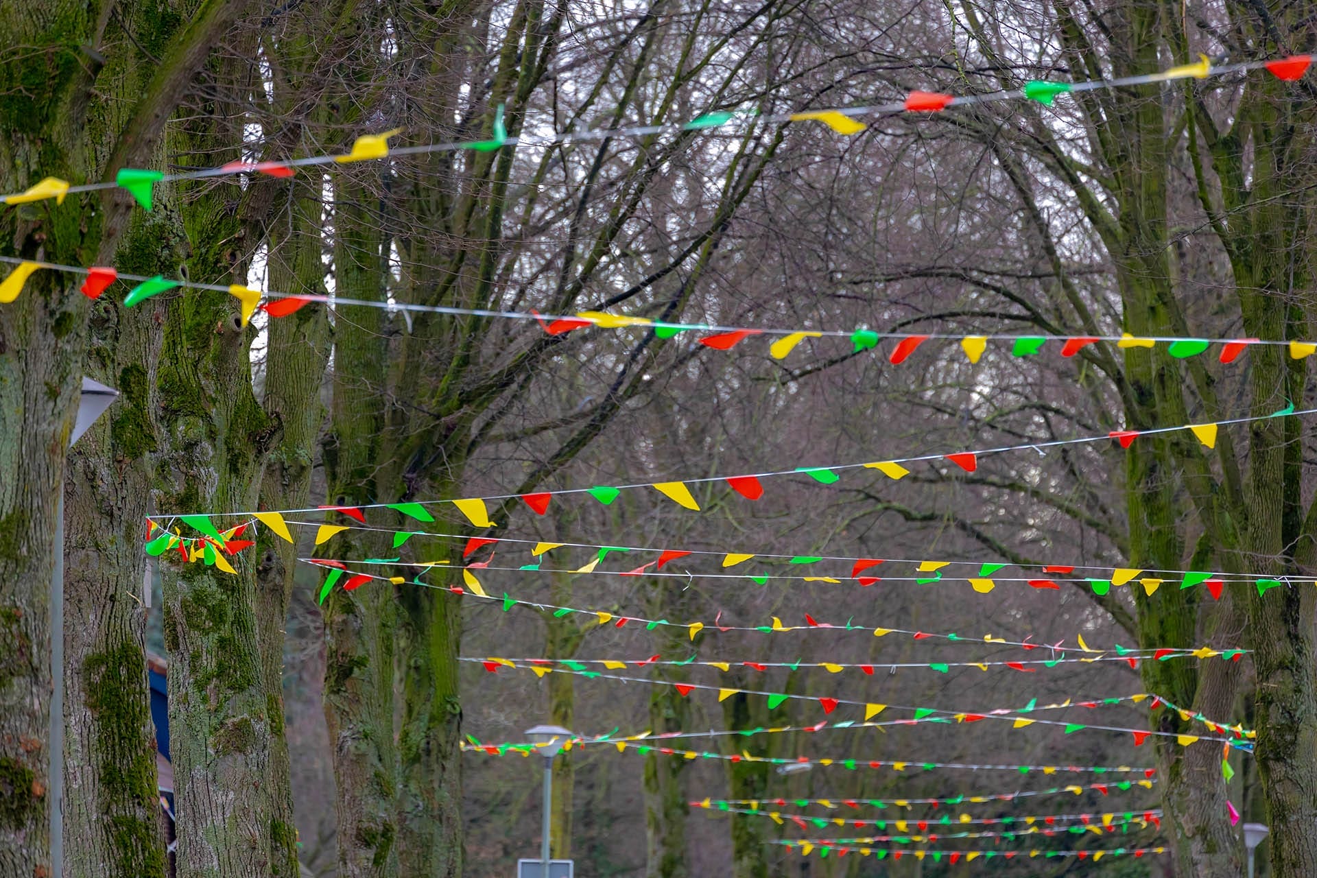 Carnival,In,Holland,(carnaval),Pennant,Flags,Red,,Yellow,And,Green